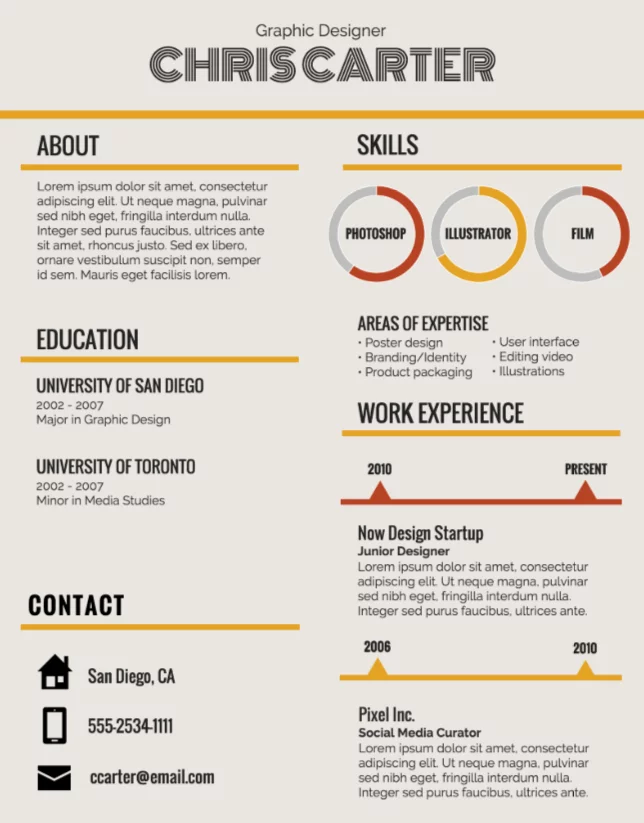 Infographic Resume Sample