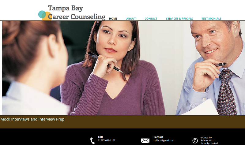 Tampa Bay Career Counseling -800x474