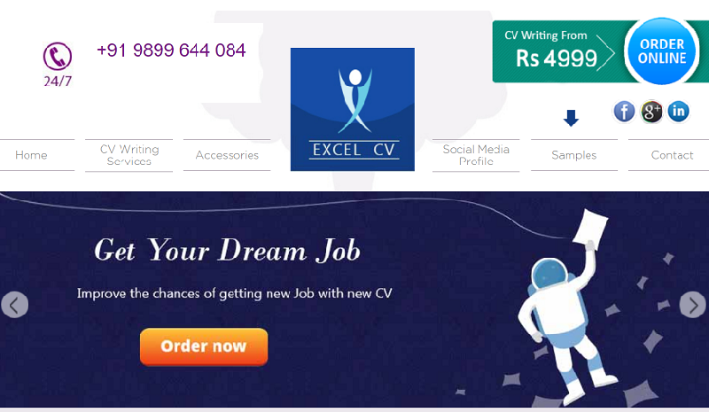 professional resume services india Excel CV - 800474