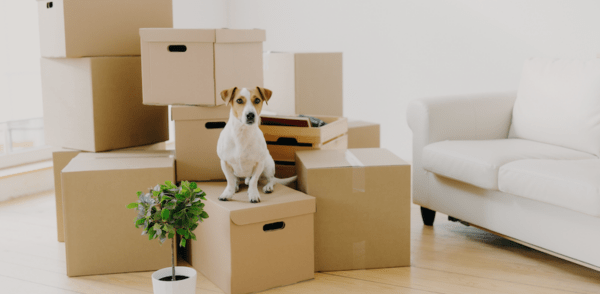 How to Update Your Resume for a Relocation