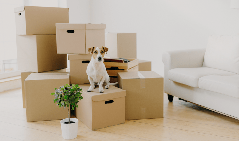 How to Update Your Resume for a Relocation