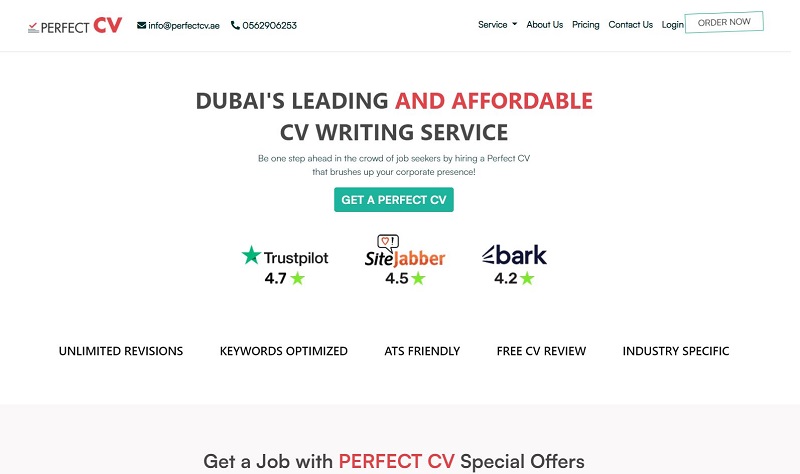professional cv writing service dubai
