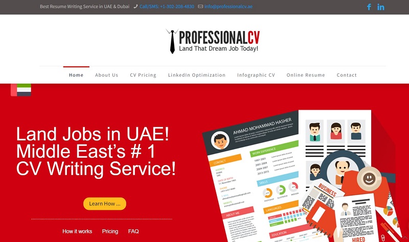 professional cv writing service dubai Professional CV