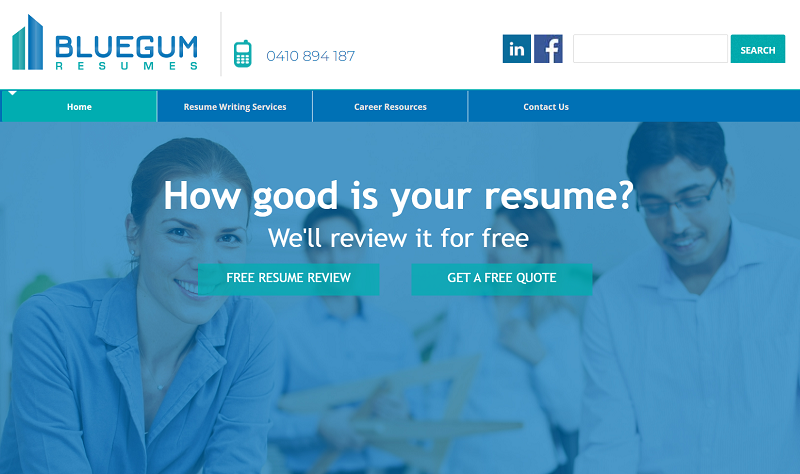 Bluegum Resumes - 800474