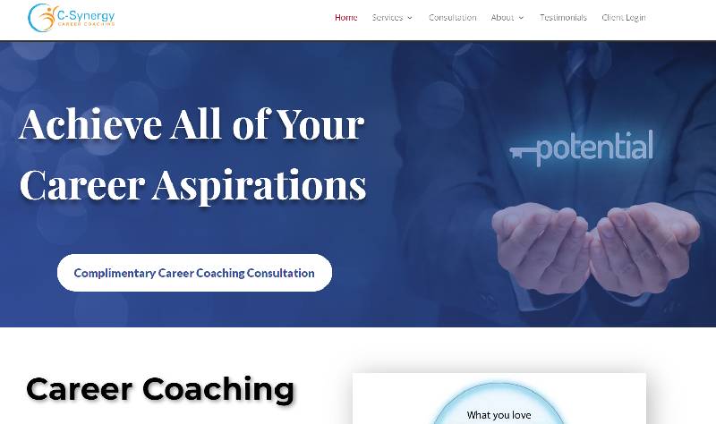 C-Synergy Career Coaching