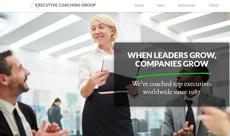 Executive Coaching Group