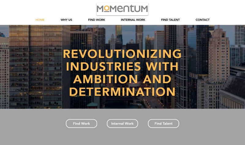 Momentum Staffing Group
