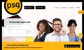 Professional Staffing Group
