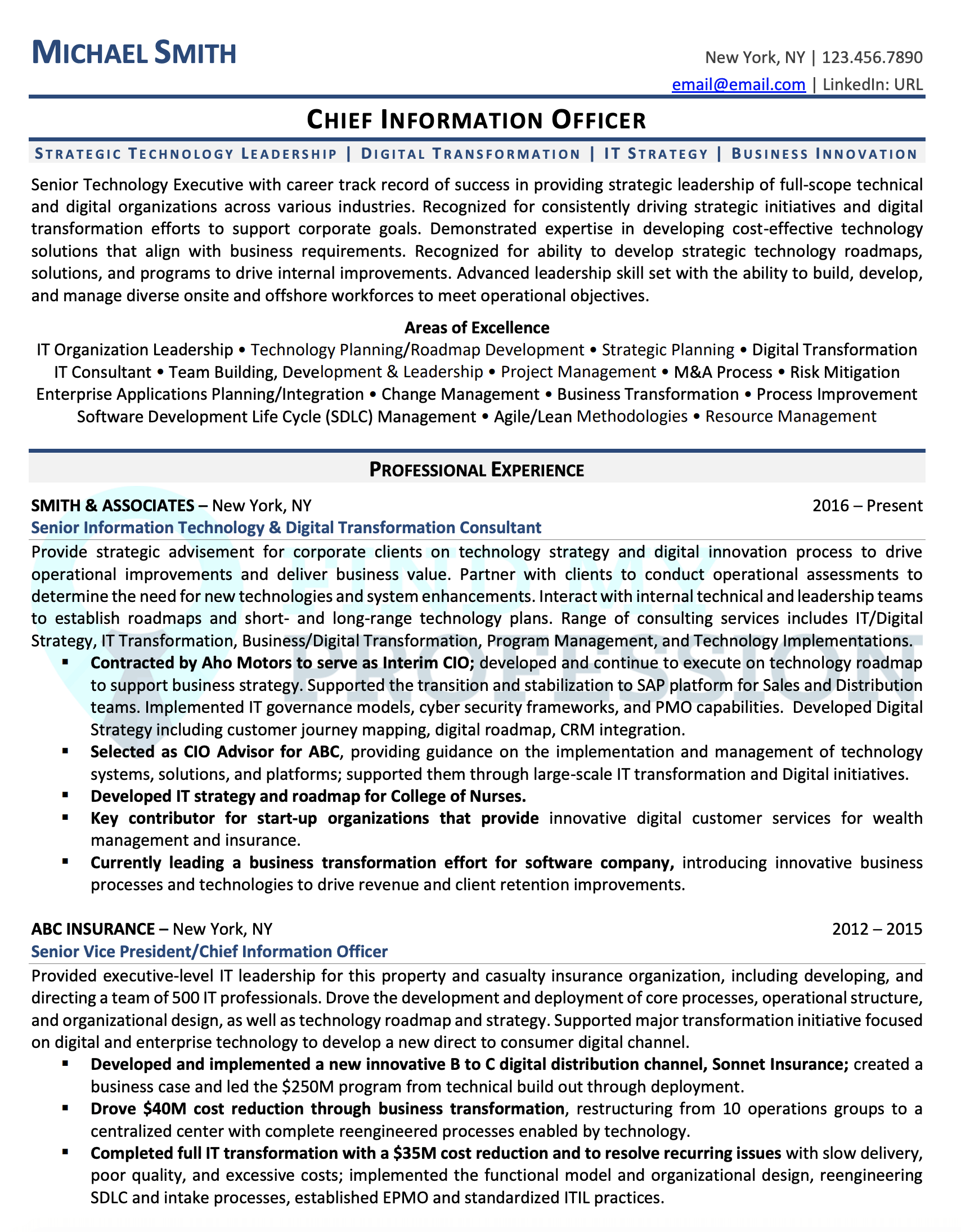 CIO Resume Sample