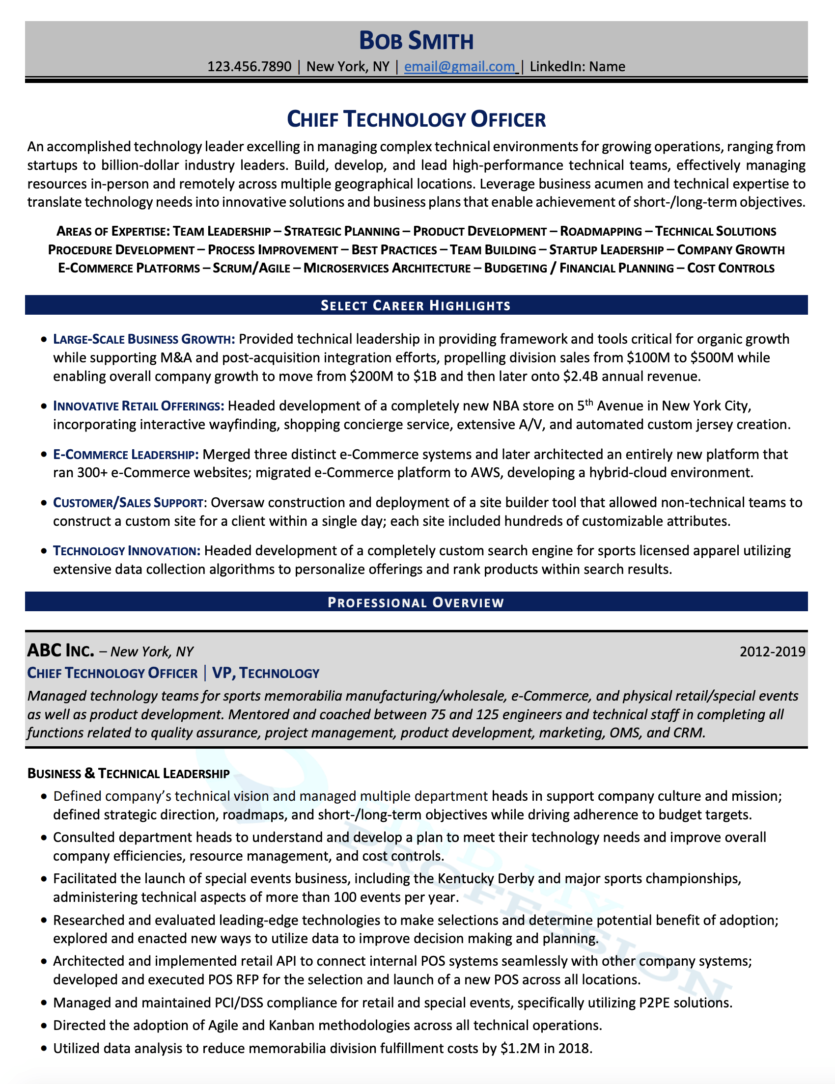 CTO Resume Sample