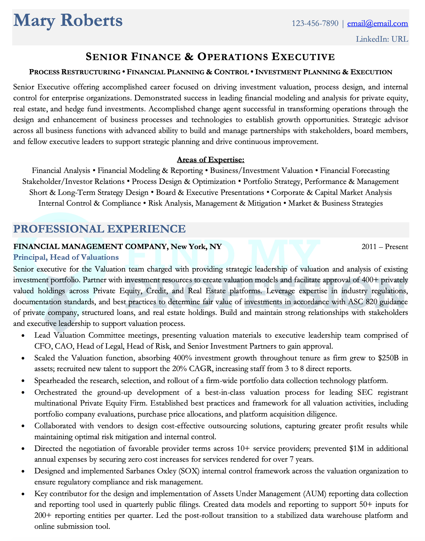 Finance Executive Resume Sample