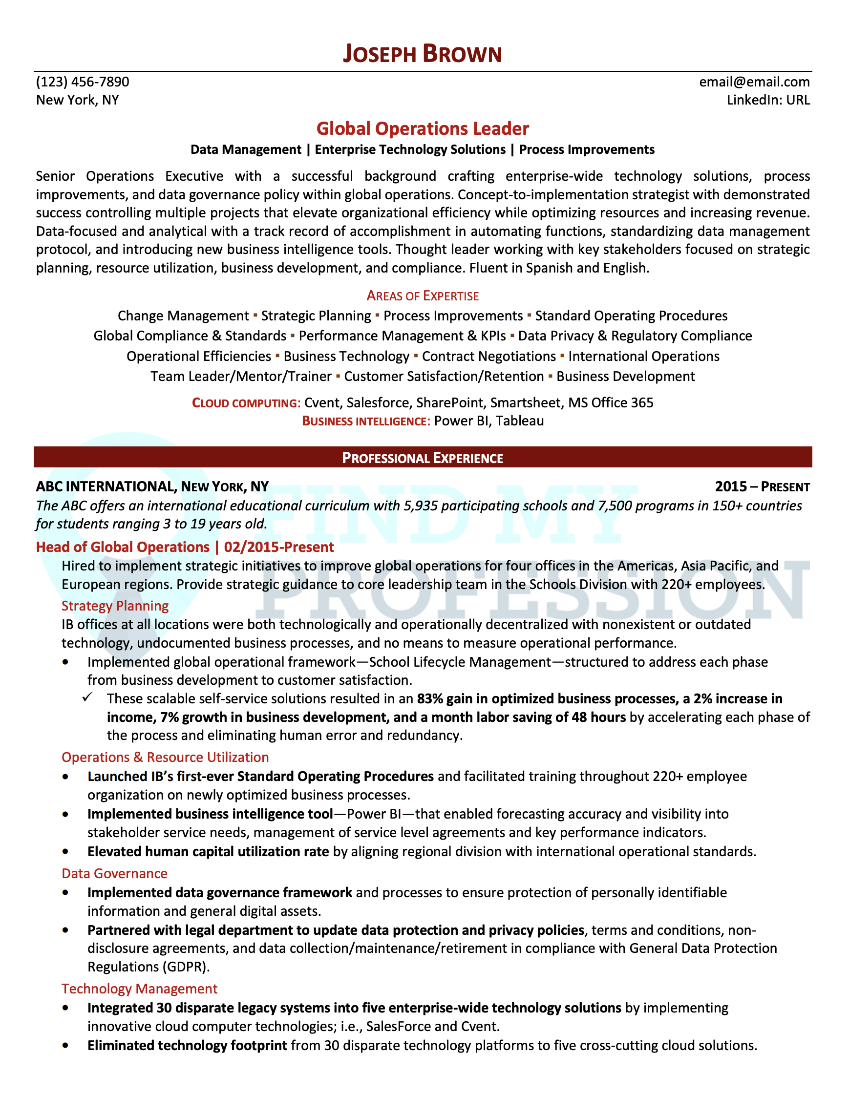 Global Operations Leader Resume Sample