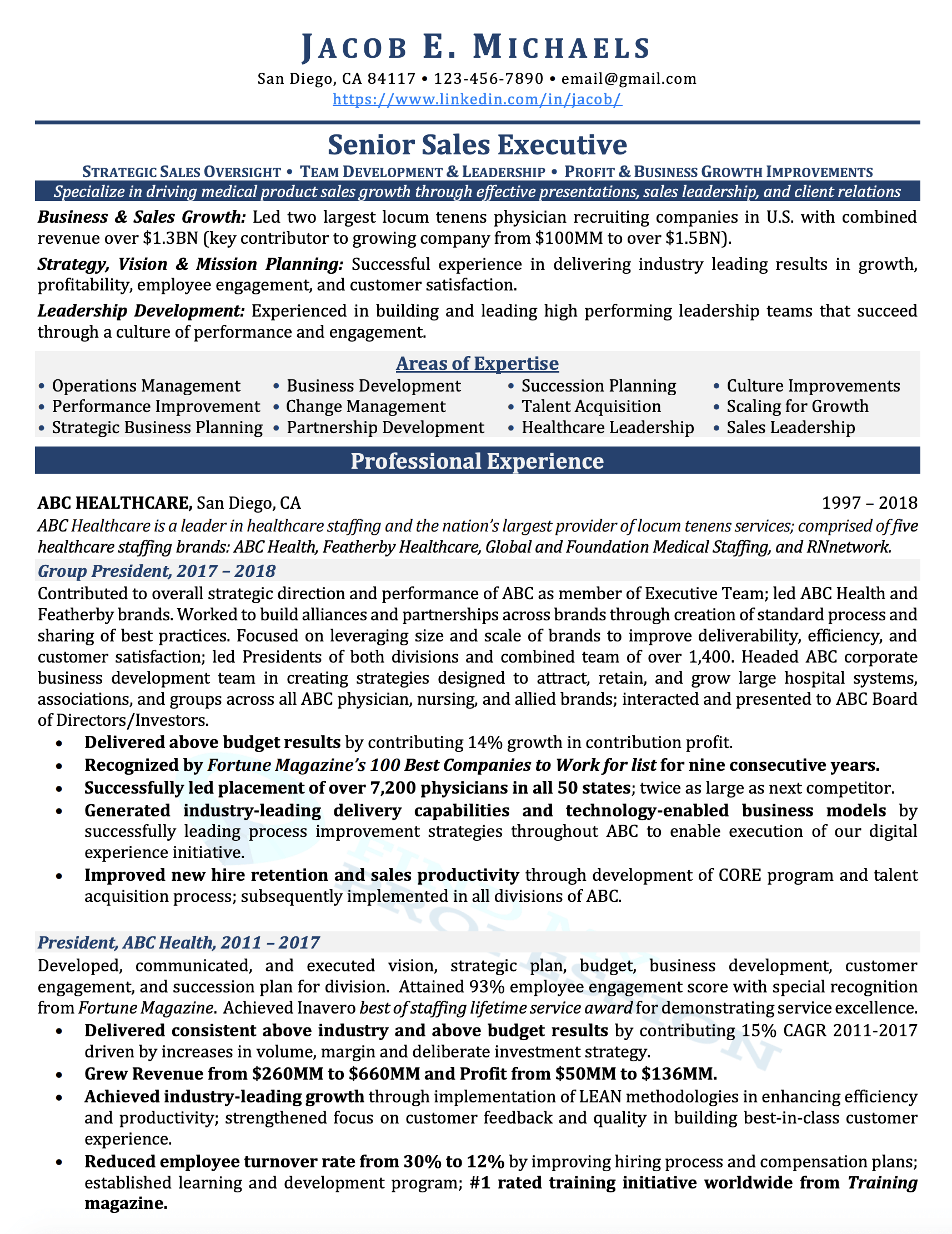 VP of Sales Resume Sample