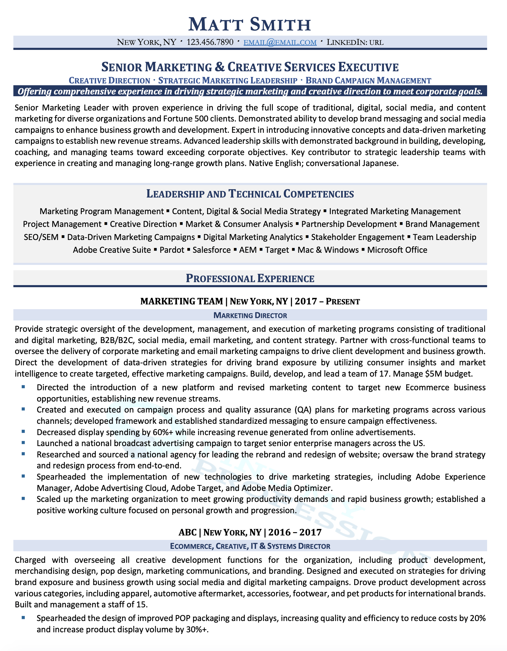 Director of Digital Marketing Resume Sample