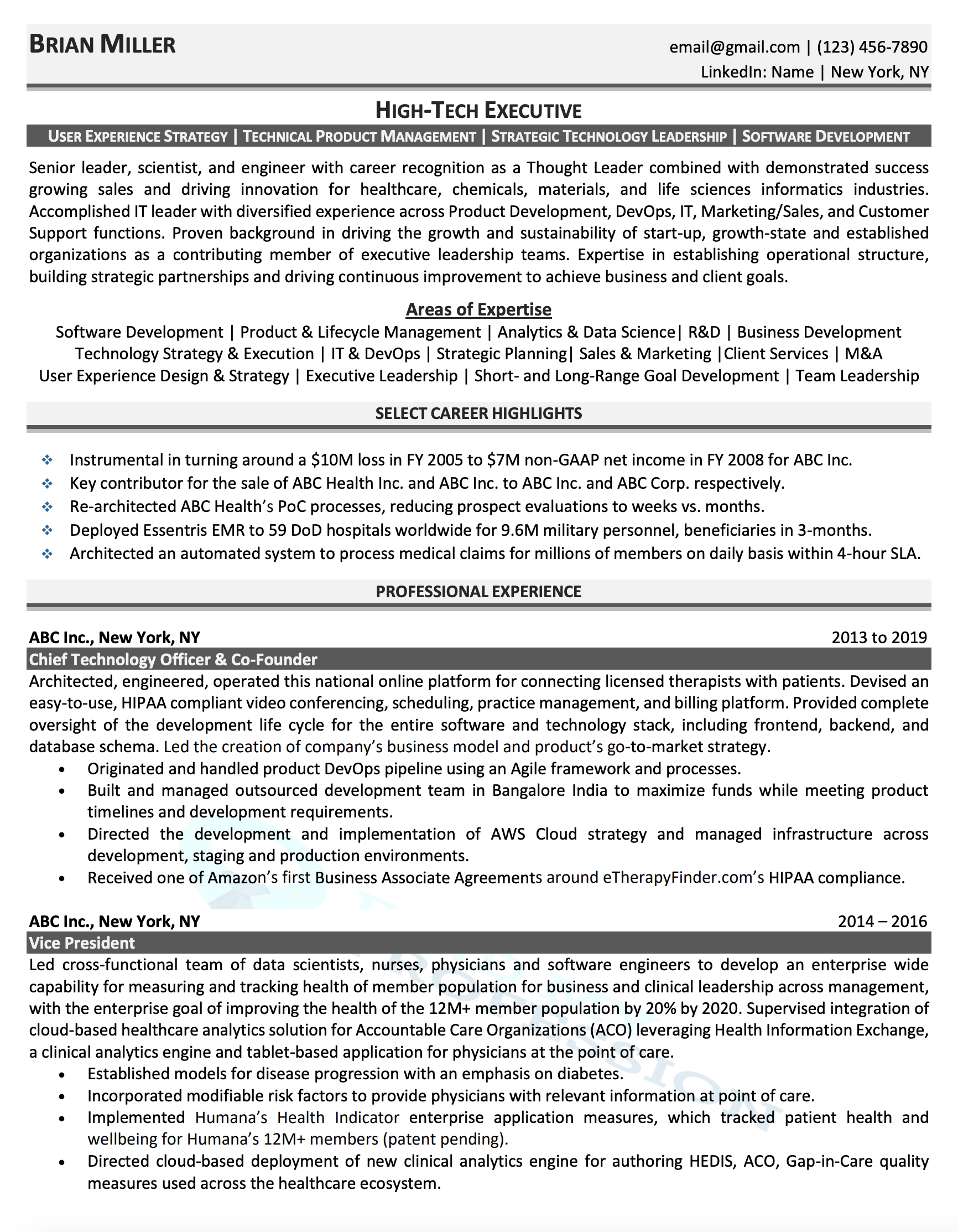 VP of IT Resume Sample