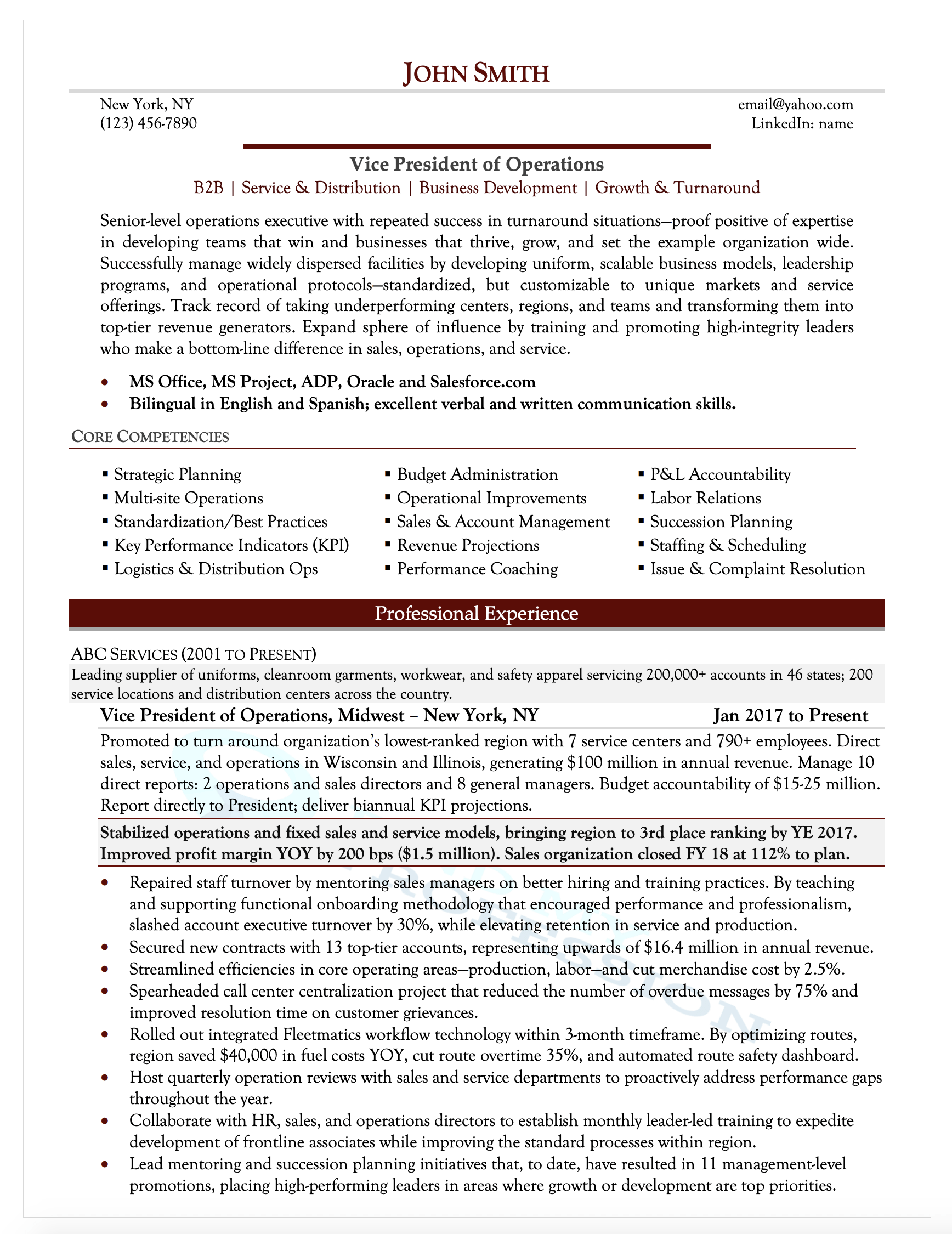 VP of Operations Resume Sample