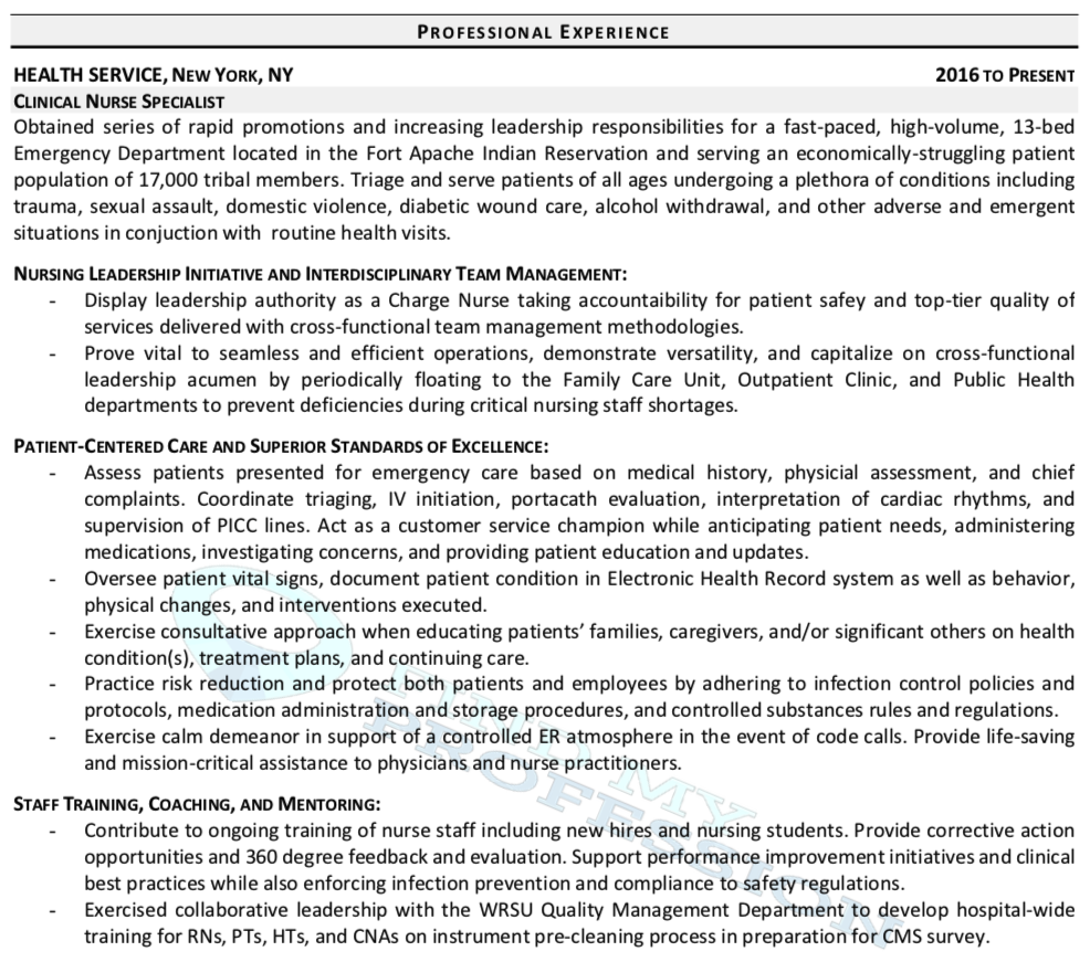 CV Experience Section Sample