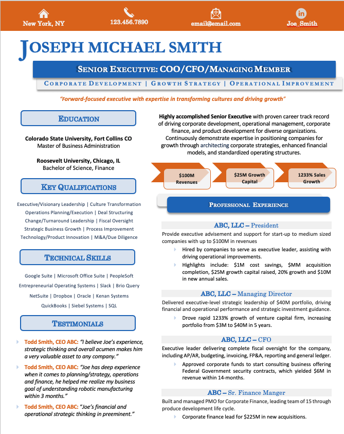 Infographic Resume Sample