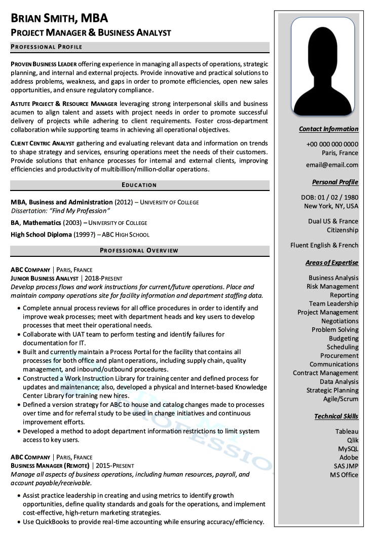 International CV Sample