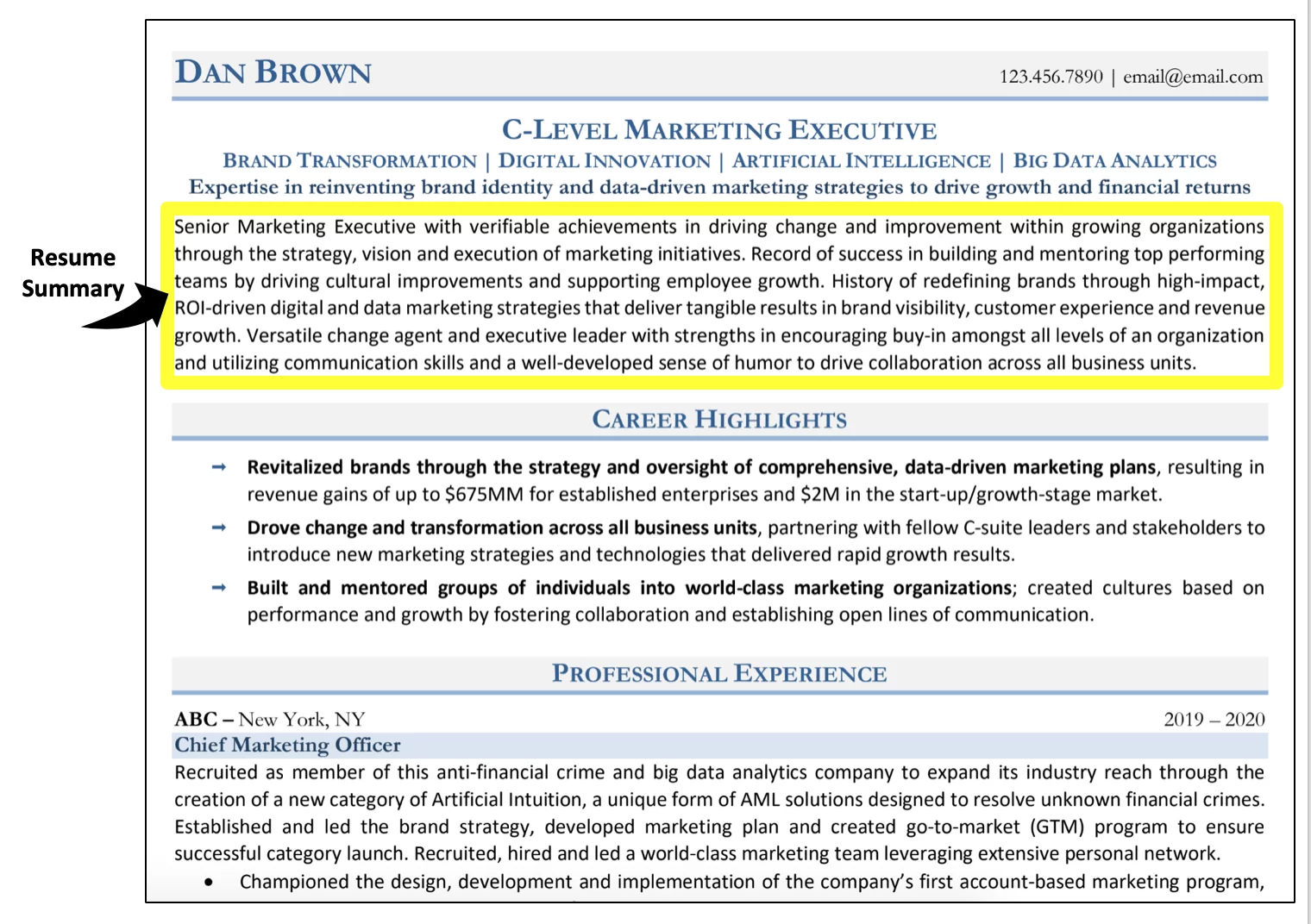 what is the meaning of summary in resume