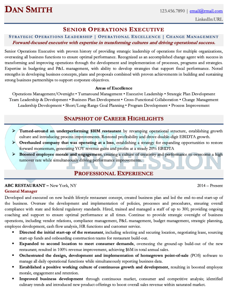 Executive Resume Examples amp Writing - Sample Senior Operations Executive 801x1024