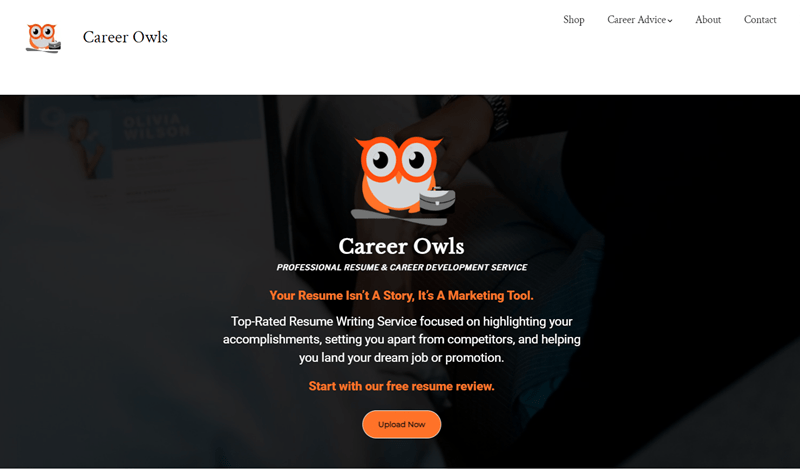 Career Owls