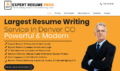 Expert Resume Pros